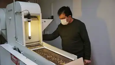 125 Bin Tohum Örneği Gen Bankalarında Güvende