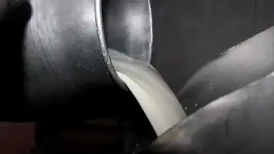 Süt Şirketlerine 58,3 Milyon TL Ceza!