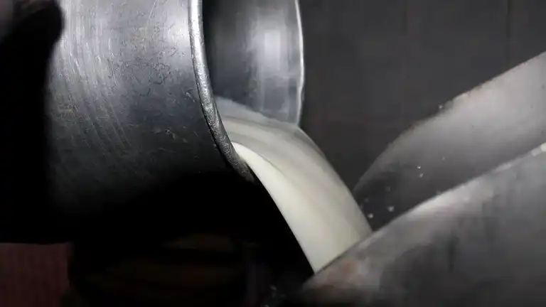 Süt Şirketlerine 58,3 Milyon TL Ceza!
