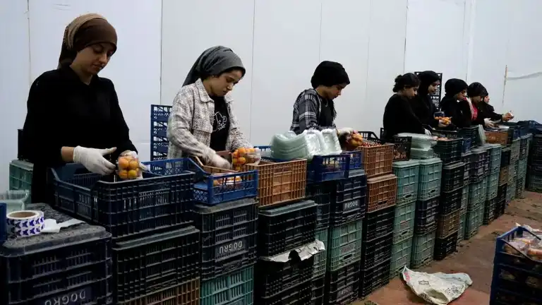 TKDK'dan Depremzede Girişimcilere 200 Milyon TL Destek